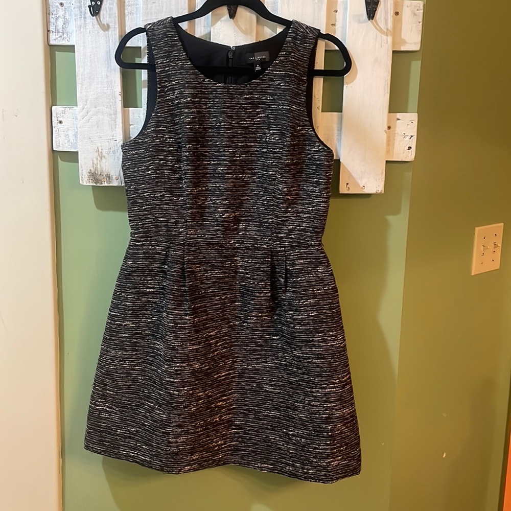 Women’s size 8 Black Dress by The Limited